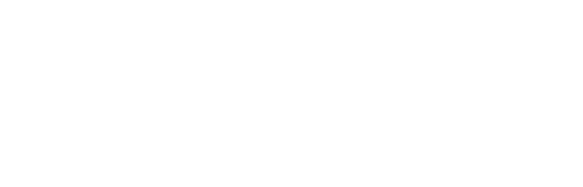 Cyber Essential Plus logo